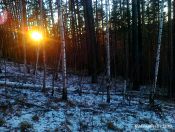 Мрачный закат