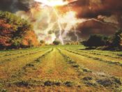 ������������ ������� �������������� �������.