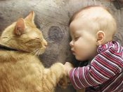 Малыш и котенок