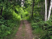 Отчего ты раньше не пришла...