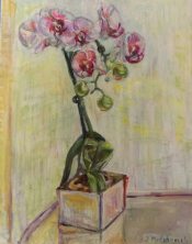 Нежно- розовые орхидеи