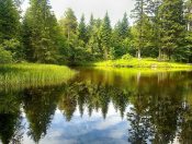 � �������� ���� ����� �����...