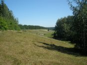 ��������� ����