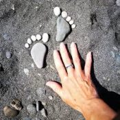 ������� ���������