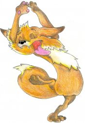 ��� - �������� - 2