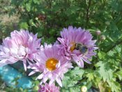 ���������...