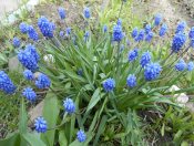 ������� ����� ���������!