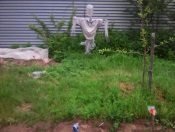 ��������.