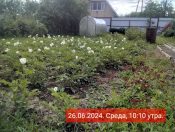 �������� ����. ����.