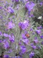 �������� �����...