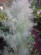 ������ ������ ������...