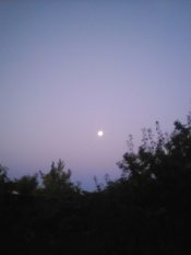 ������ �������.