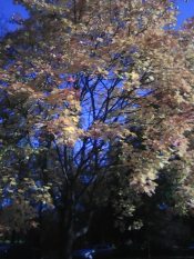 Не верю я словам красивым!