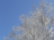 ��� ���� - ����.