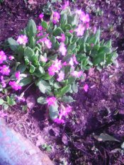 Уже в проталинах дороги.