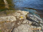 Отец Мефодий.