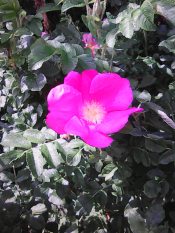 Вся жизнь...