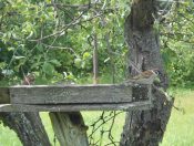 Не хочу ворошить былое!