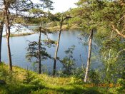 Так бывает...