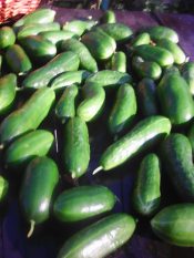 Говорят скоро кончится лето...