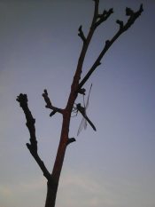 Утро. Сентябрь.