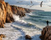 У Чёрного моря