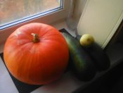 Мы, люди, что греха таить.