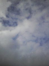 Все выбирают для себя...