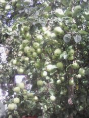 Как сделать открытие.