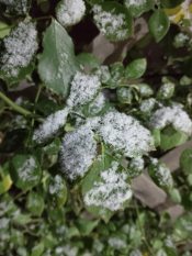 31. �������� ����