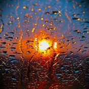 ���� ������