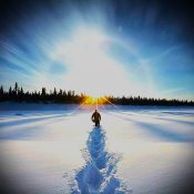 Абсолютный Максимум