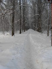 ���� ��� ���� �������� ������.