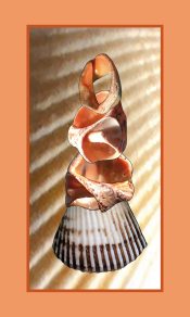 ���������� ���������� ����� ������� ����� (1441�1501)