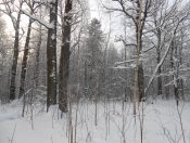 �� ������, �� ���� ���...