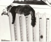 � ����� ��� ���������