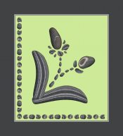 ��������� �������� ����� ������� (1843�1886)