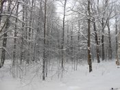 ������ ����� ������ �������.