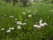 ������ �� ������ �����!