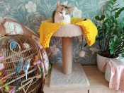 �������� ����� � �����