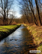 ����� ����