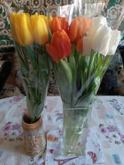 � ����� ����� 8 �����