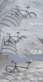 ����������