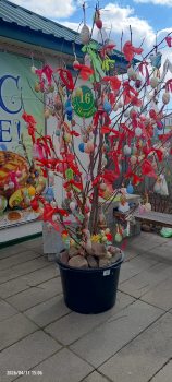 ������� ��������