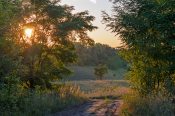 Наступает пора грустных снов